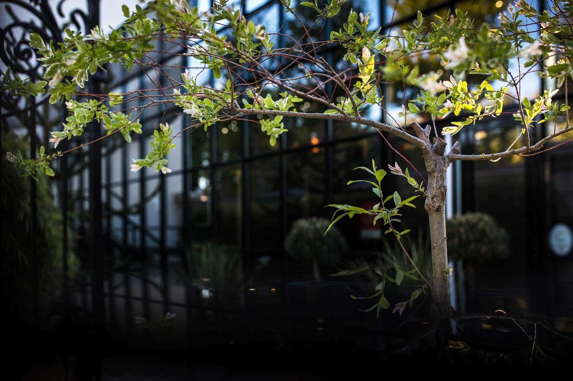 Maison Decoret - Relais & Chateaux Vichy Exteriér fotografie